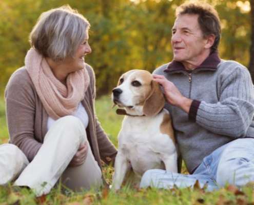 Mature couple sitting in a park with their dog