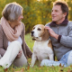 Mature couple sitting in a park with their dog